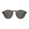 Devon / Tortoise & Graphite Green Lens